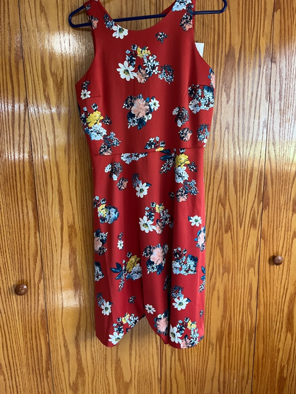 Banana Republic Red Floral Sleeveless Dress